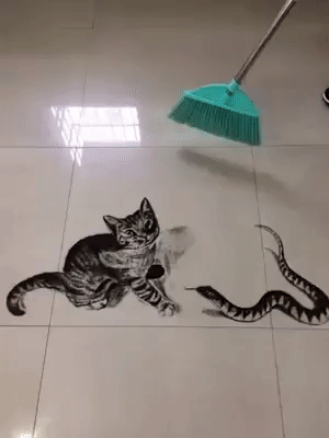gif-art-cat-snake-3846224.gif : 뱀과 고양이.gif