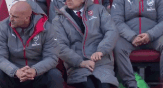Arsene-Wenger-Worked-out-His-Coat-Zipper-with-Ease.gif : 데이터)교수와 지퍼